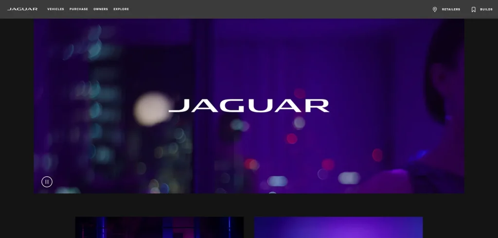 Jaguar Jaguar