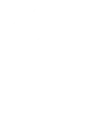Magento Logo